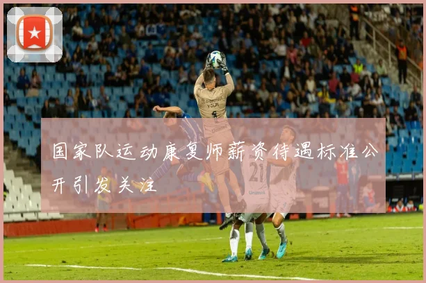 国家队运动康复师薪资待遇标准公开引发关注